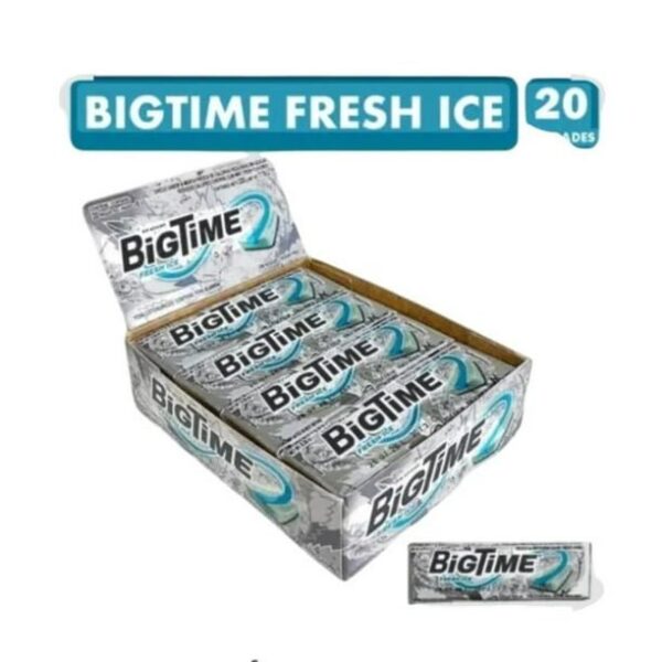 BIGTIME FRESH ICE 12 X 20 X 11 GRS